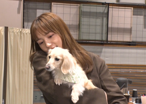 Animaring わんにゃん観察バラエティ アニマリング 可愛動物監視中